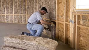 Best Soundproof Insulation  in Celina, TX