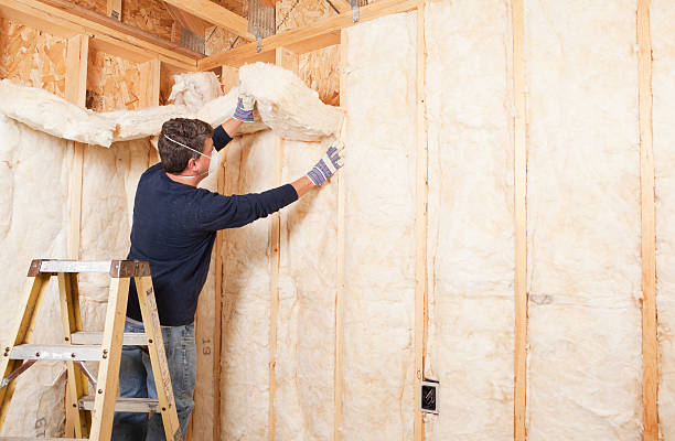 Best Commercial Insulation Services  in Celina, TX